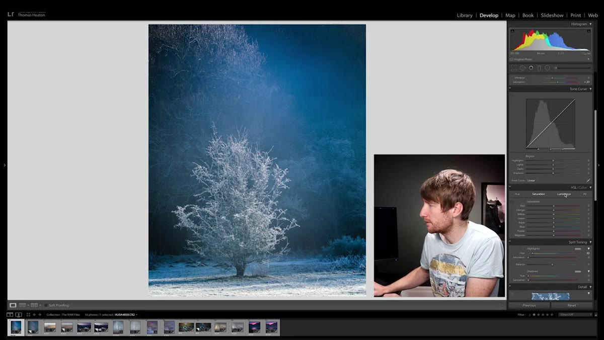 HSL panel open showing all sliders untouched at zero