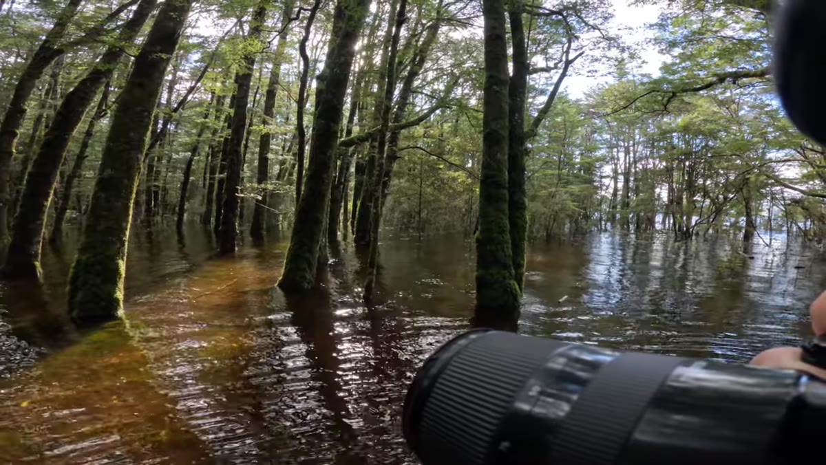 Harsh midday highlights bouncing off flooded water