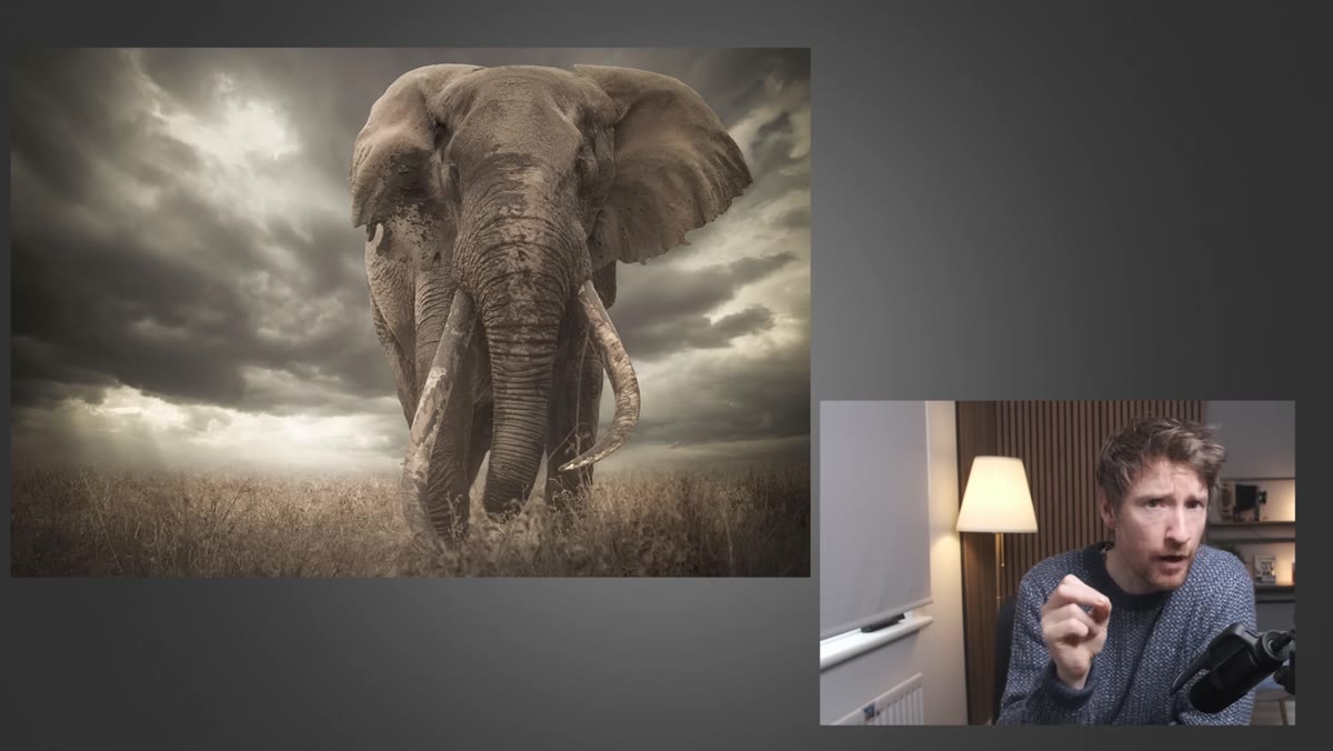 Award-winning elephant photograph displayed