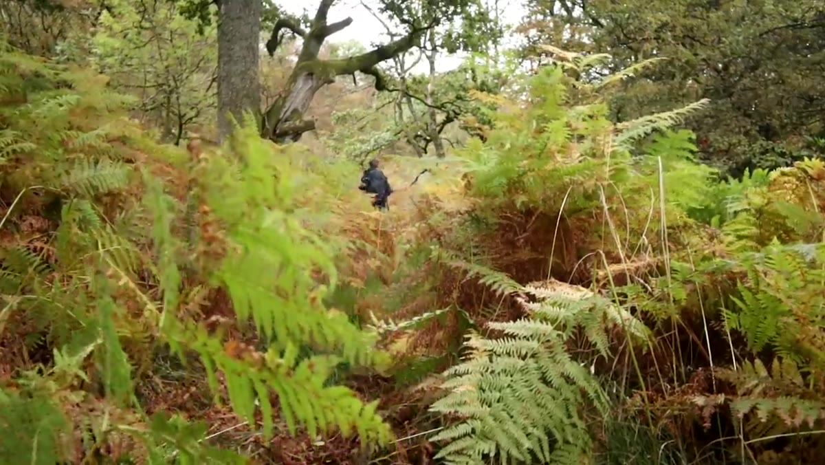 Gentle half-day trail with soft light, no extreme terrain