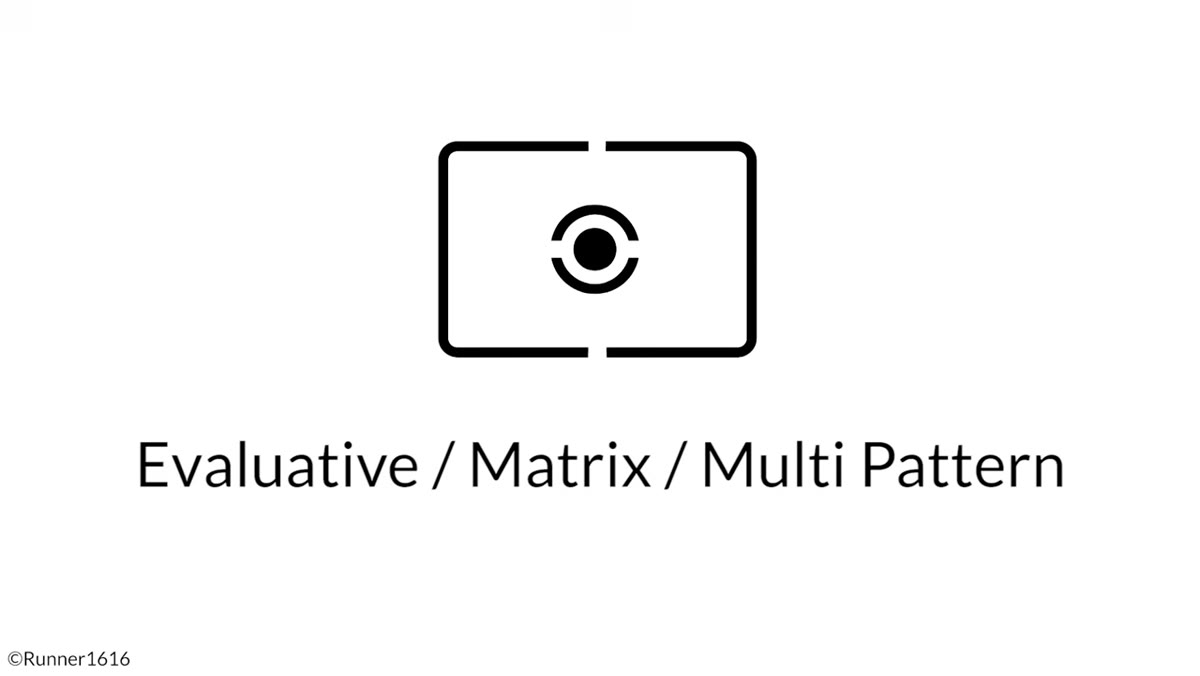 Camera scene divided into grid zones for evaluative metering