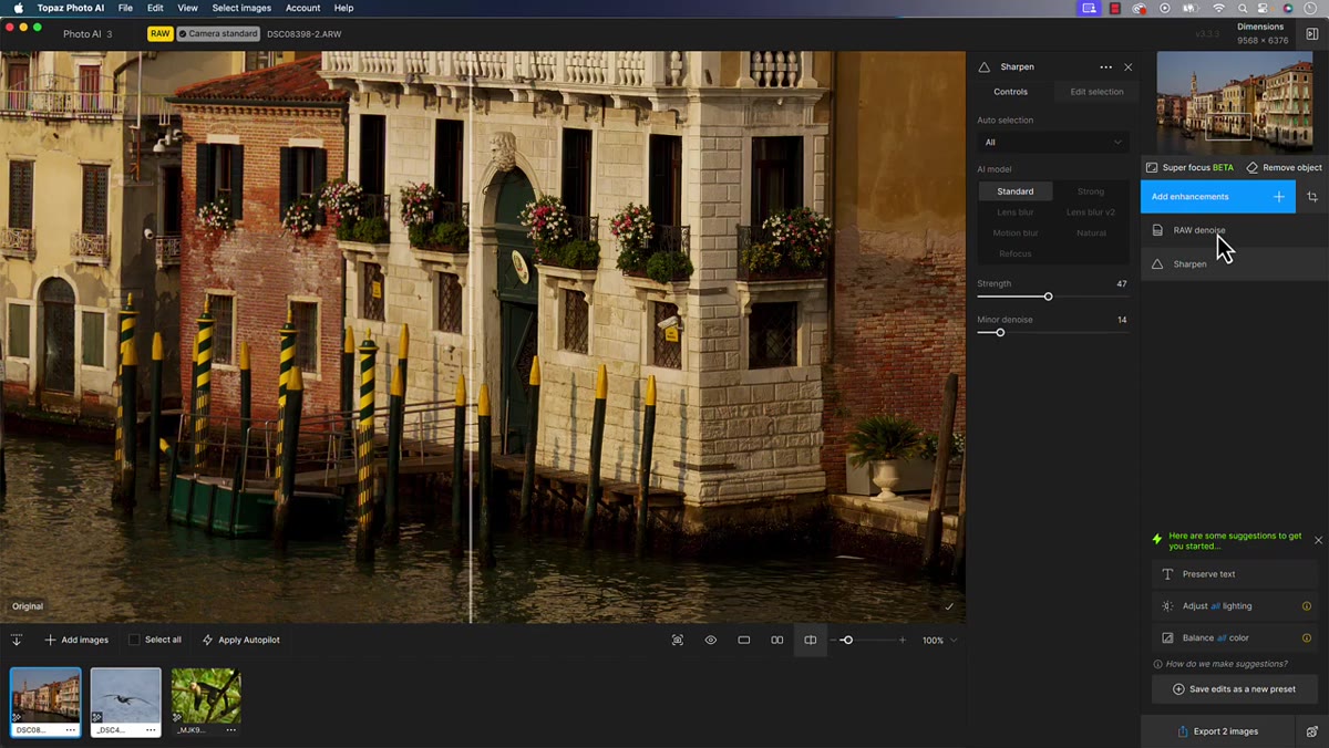 caption: RAW file opened inside Topaz Photo AI interface