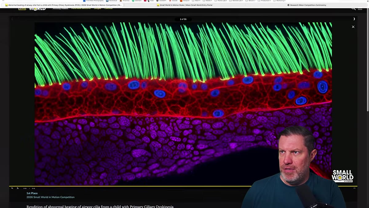 Screenshot of Nikon Small World contest rules on Wayback Machine