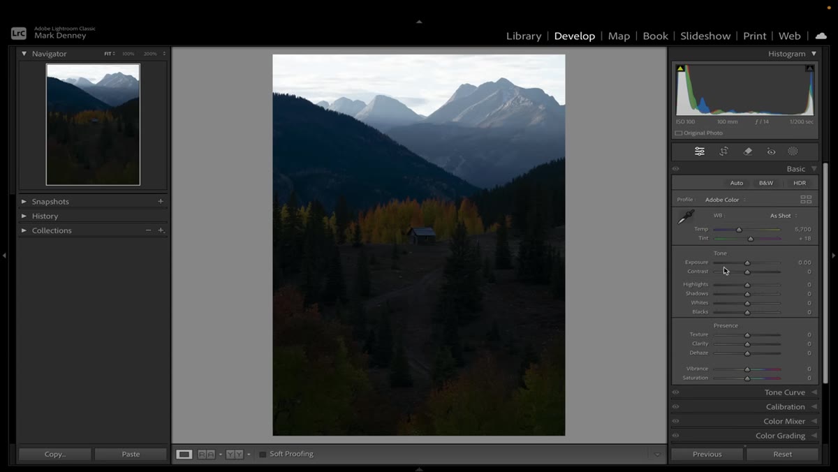 Lightroom Basic panel before any adjustments applied