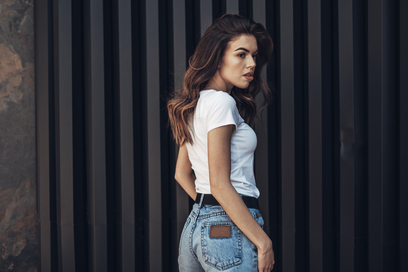 Why the Nikon Z 28-135mm f/4 PZ Lens Deserves Your Attention