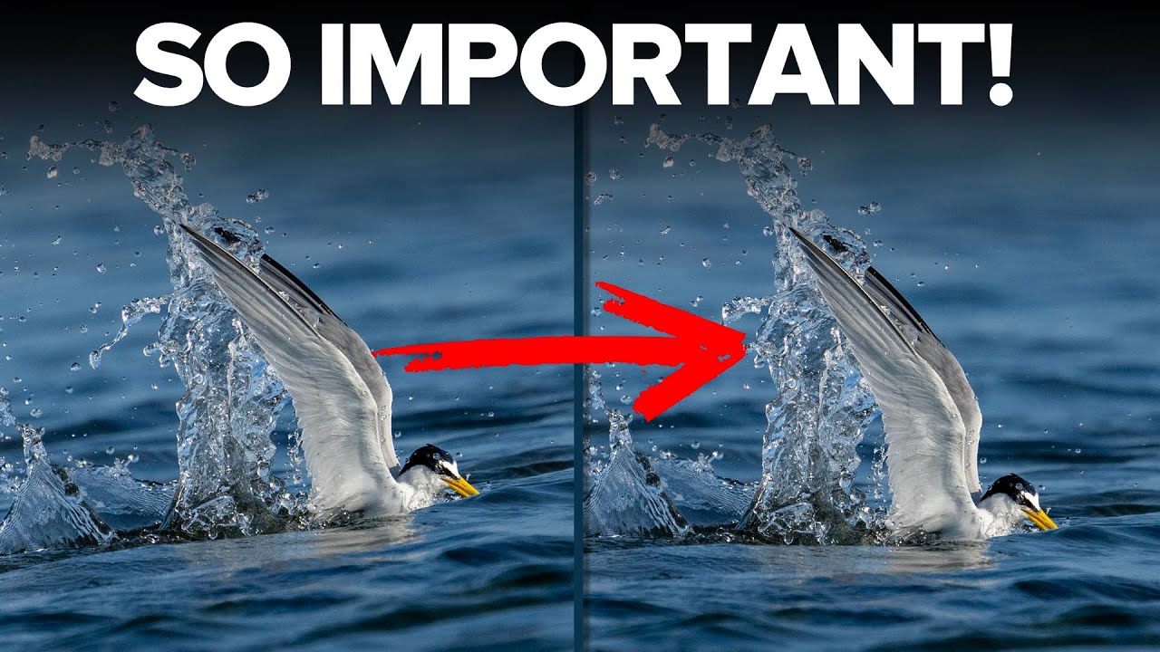 Why Your Bird Photos Look Crooked (And the Water-Level Fix That Changes Everything)